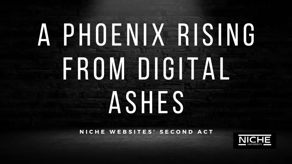 Why Niche Websites Are Dying. Exploring Issues Hurting Website Builders.